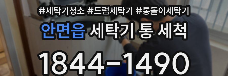 안면읍 세탁기 통 세척