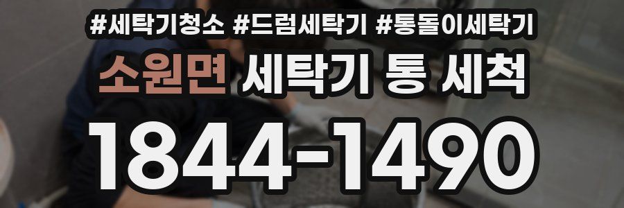 소원면 세탁기 통 세척
