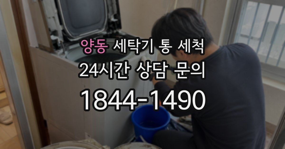 양동 세탁기 통 세척