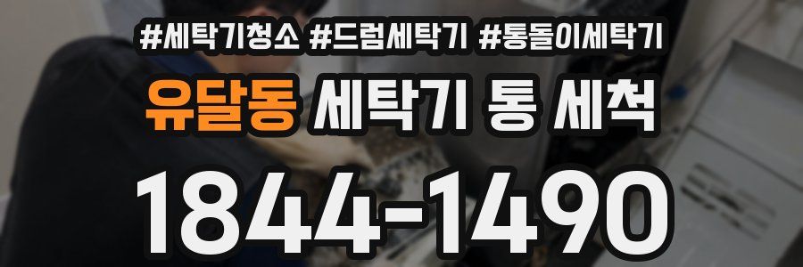 유달동 세탁기 통 세척