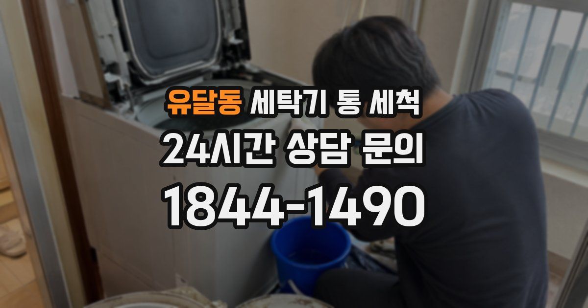 유달동 세탁기 통 세척