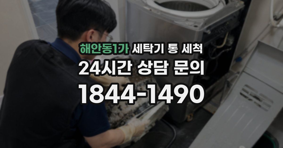 해안동1가 세탁기 통 세척