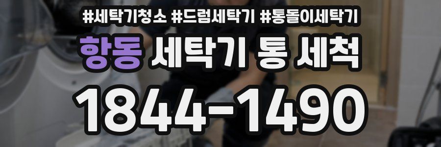 항동 세탁기 통 세척