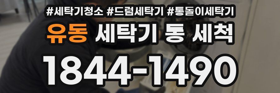 유동 세탁기 통 세척