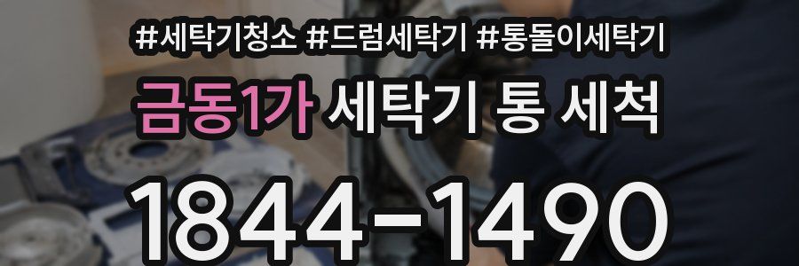 금동1가 세탁기 통 세척