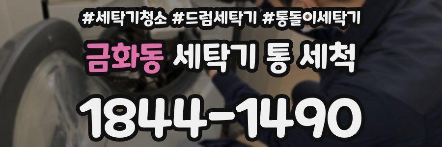 금화동 세탁기 통 세척