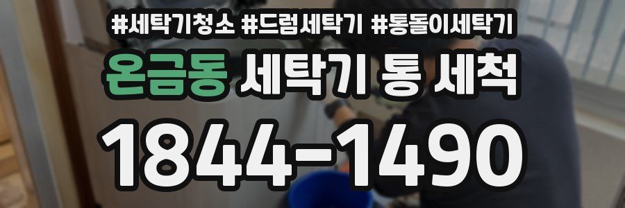 온금동 세탁기 통 세척