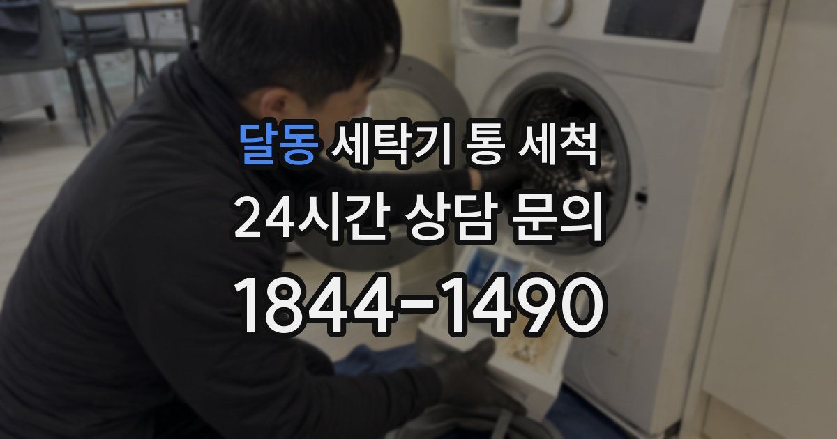 달동 세탁기 통 세척