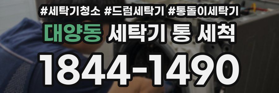 대양동 세탁기 통 세척