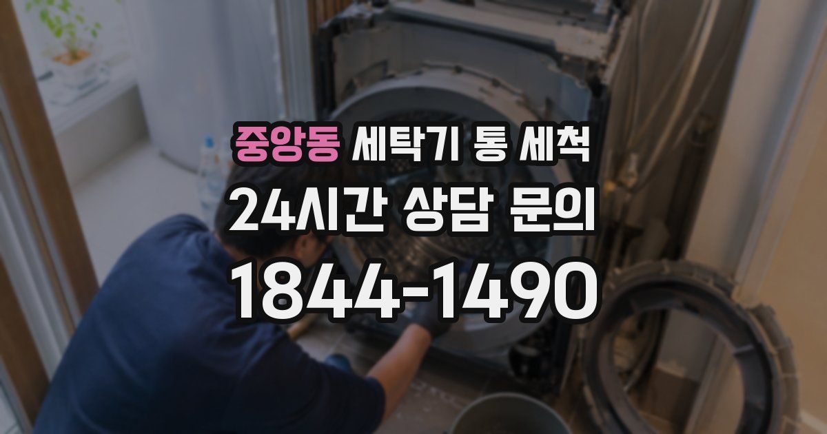 중앙동 세탁기 통 세척