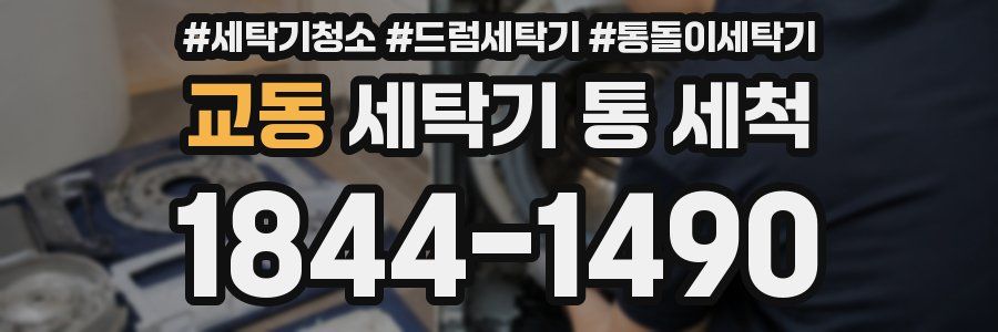 교동 세탁기 통 세척
