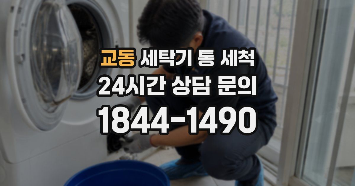 교동 세탁기 통 세척