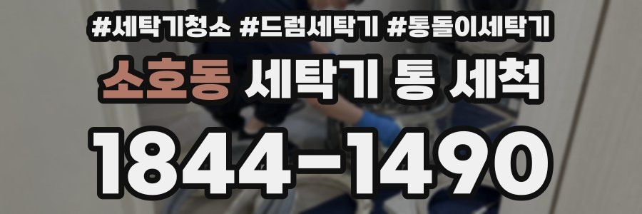 소호동 세탁기 통 세척
