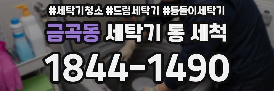 금곡동 세탁기 통 세척