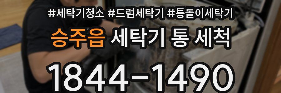 승주읍 세탁기 통 세척