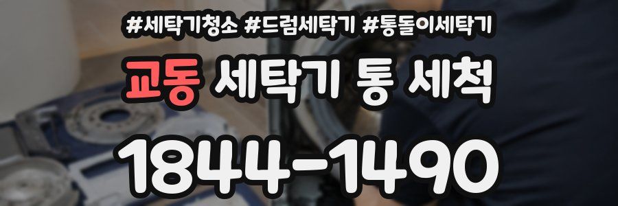 교동 세탁기 통 세척