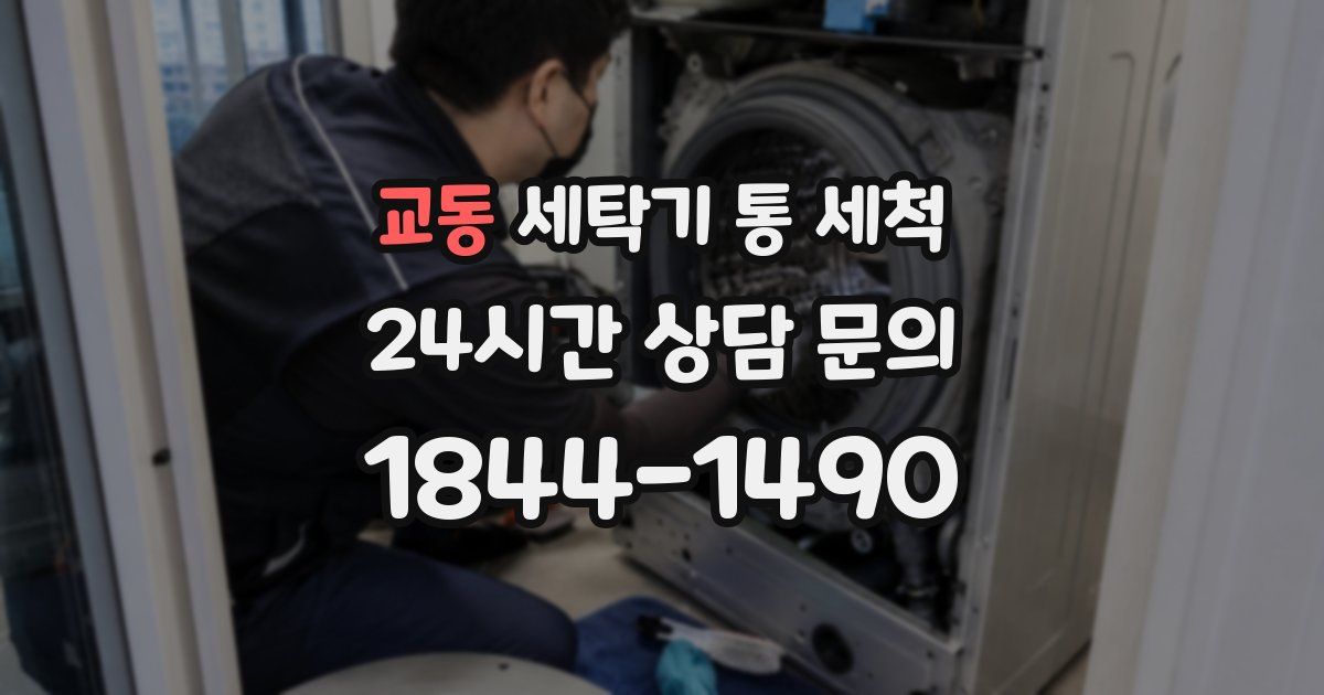 교동 세탁기 통 세척