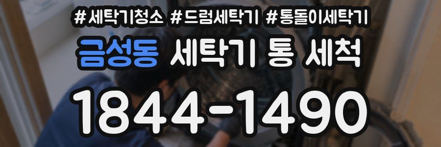 금성동 세탁기 통 세척