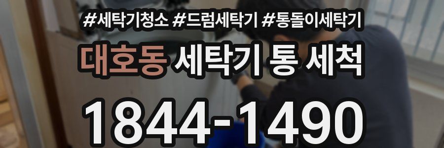 대호동 세탁기 통 세척
