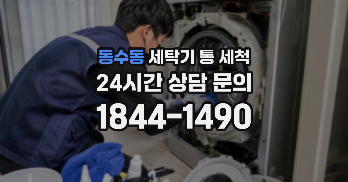 동수동 세탁기 통 세척