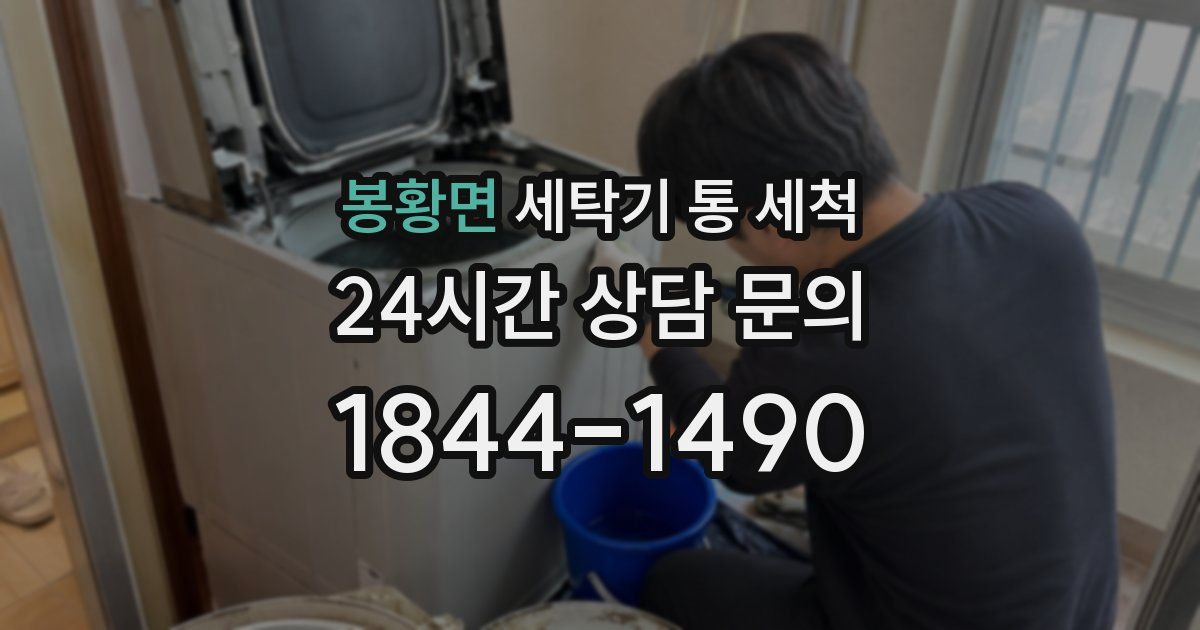 봉황면 세탁기 통 세척