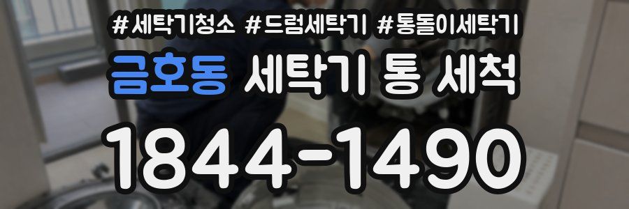 금호동 세탁기 통 세척