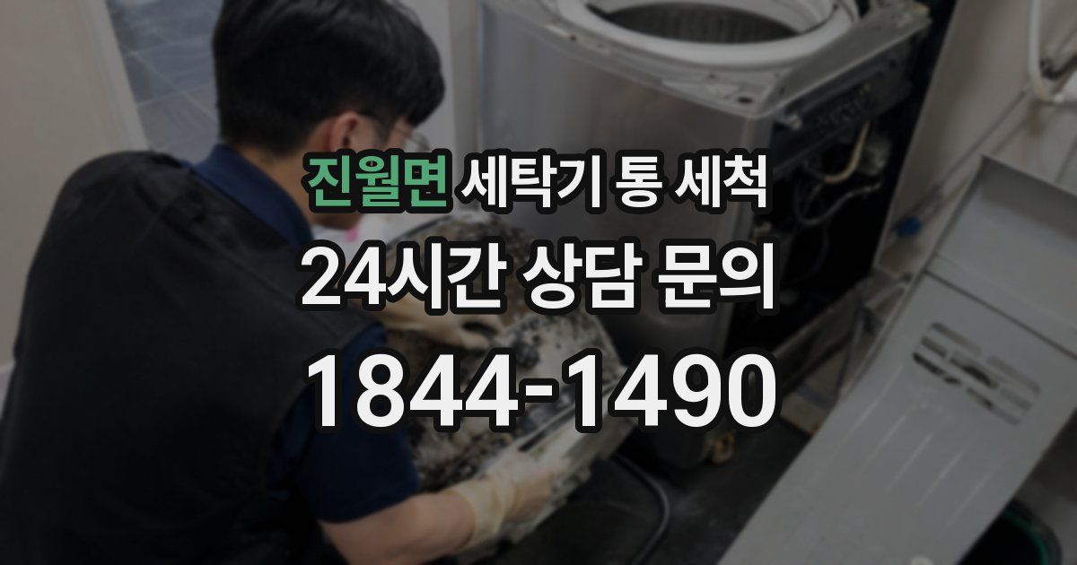 진월면 세탁기 통 세척