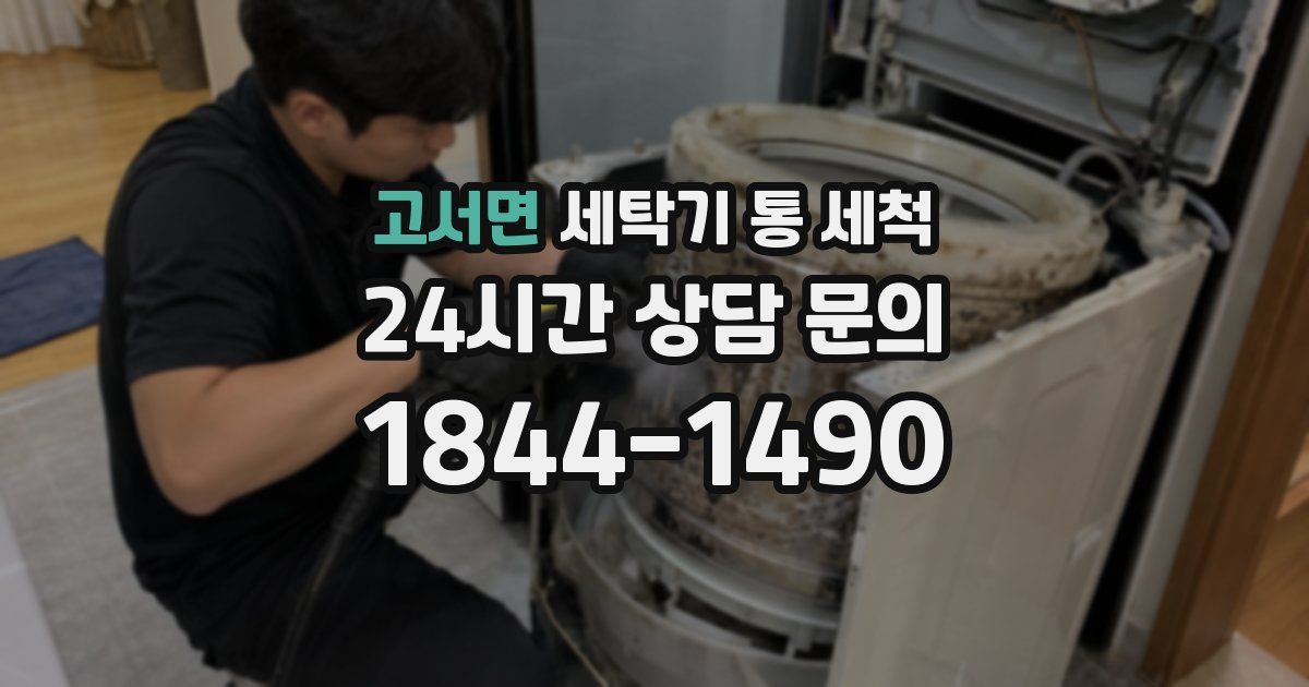 고서면 세탁기 통 세척