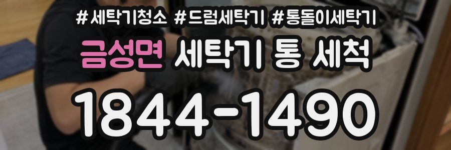 금성면 세탁기 통 세척