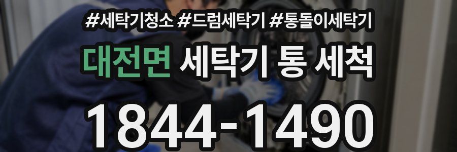 대전면 세탁기 통 세척