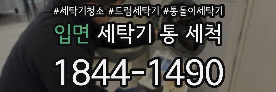 입면 세탁기 통 세척