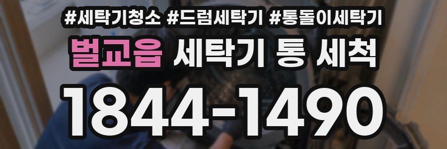 벌교읍 세탁기 통 세척