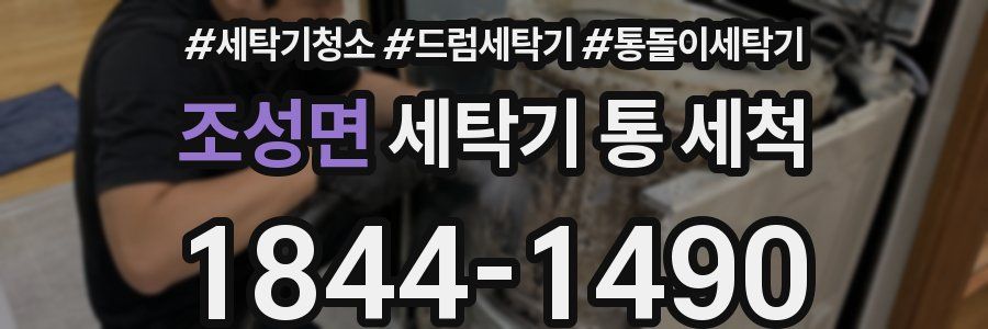 조성면 세탁기 통 세척