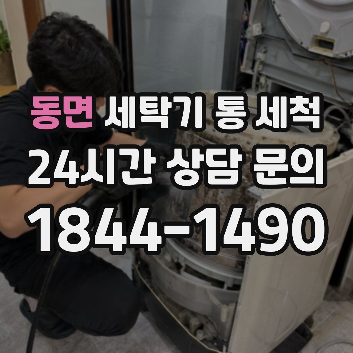 동면 세탁기 통 세척