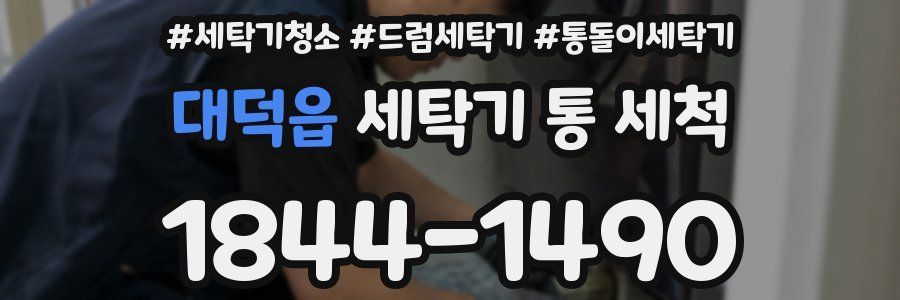대덕읍 세탁기 통 세척