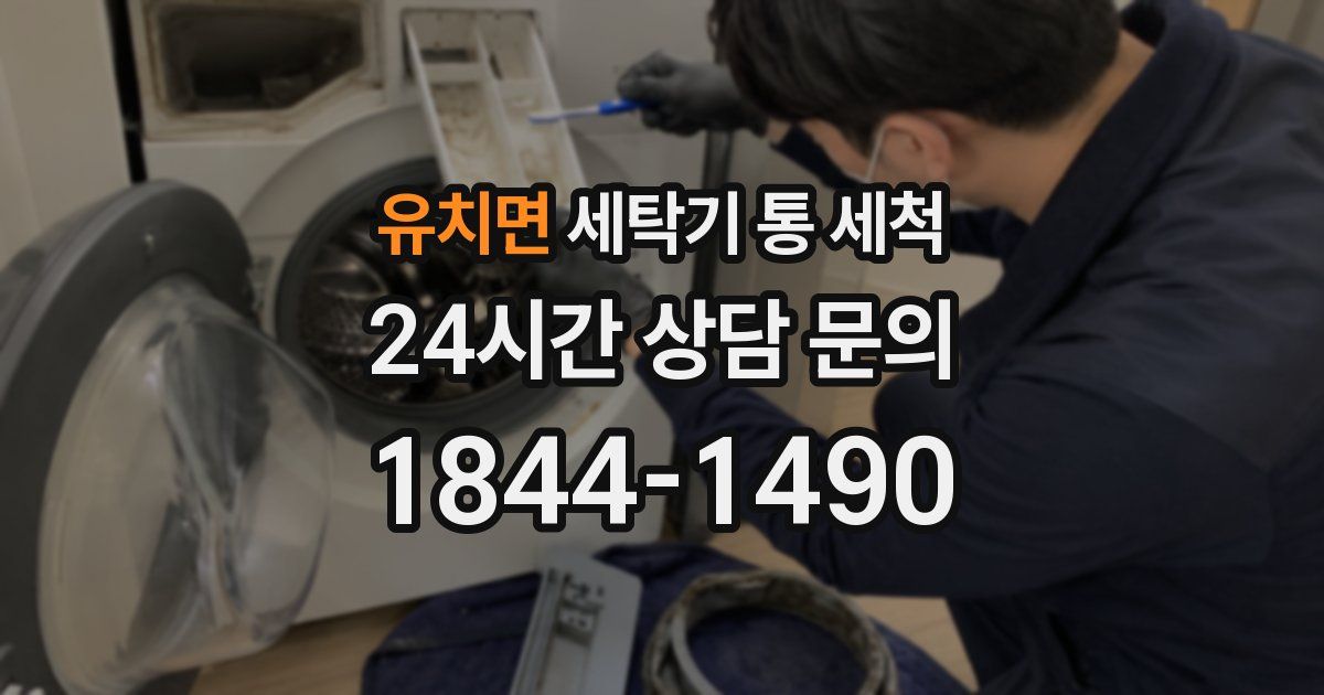 유치면 세탁기 통 세척