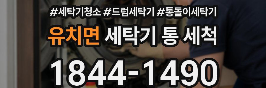 유치면 세탁기 통 세척