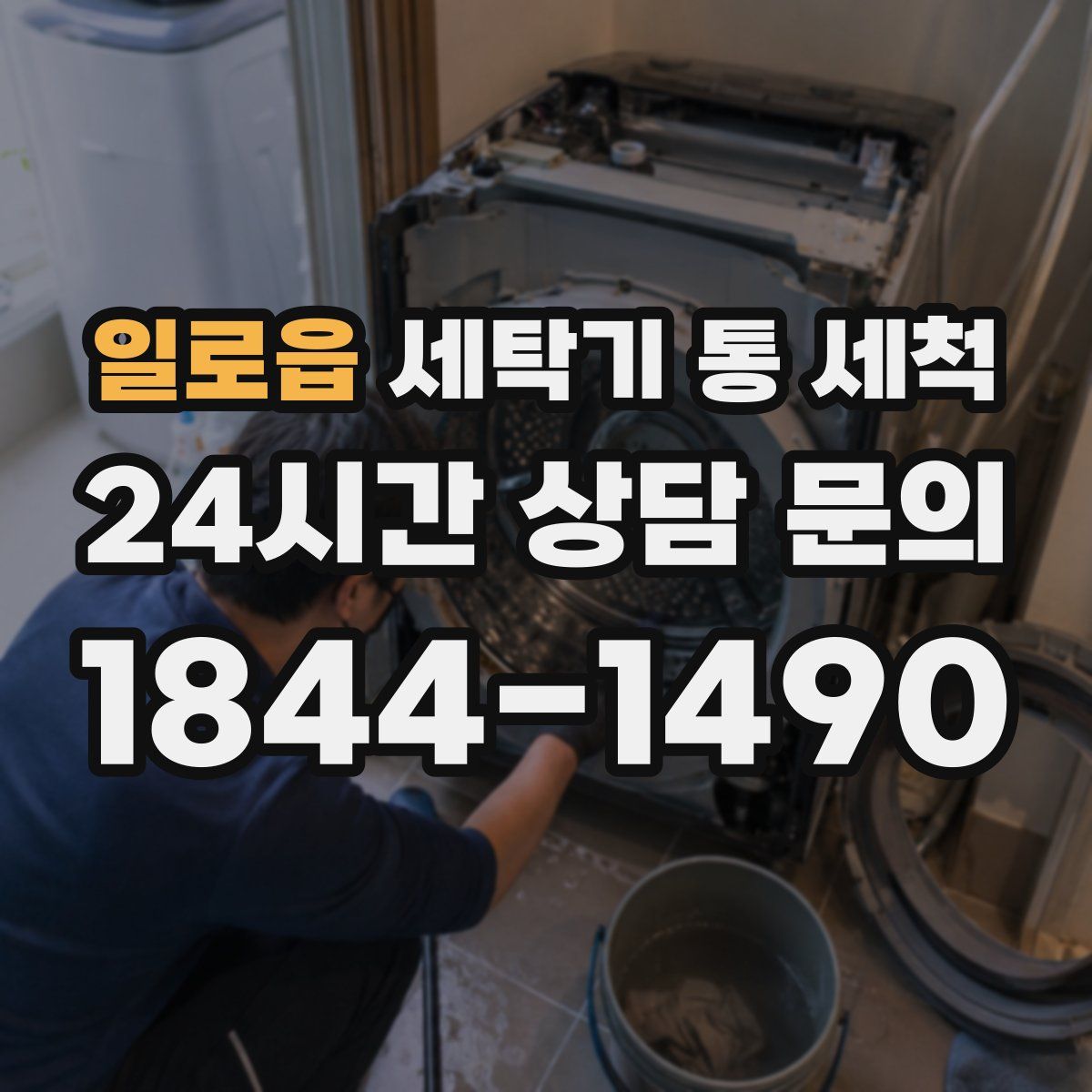 일로읍 세탁기 통 세척