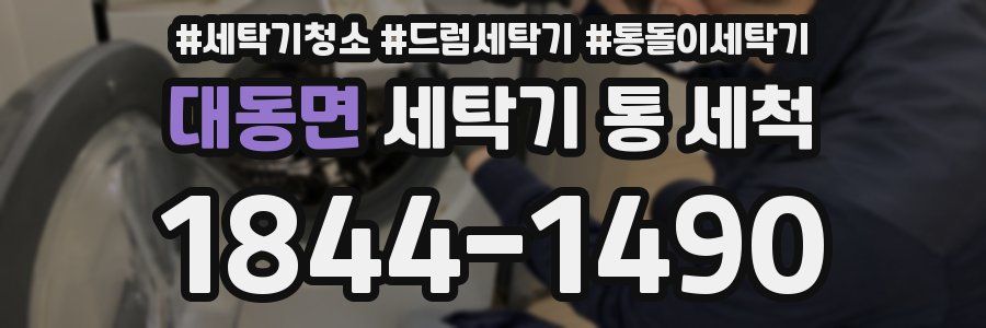 대동면 세탁기 통 세척