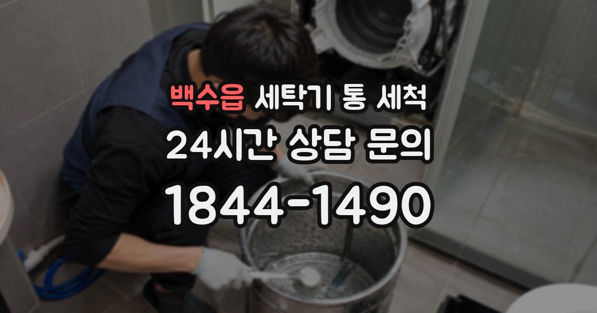 백수읍 세탁기 통 세척