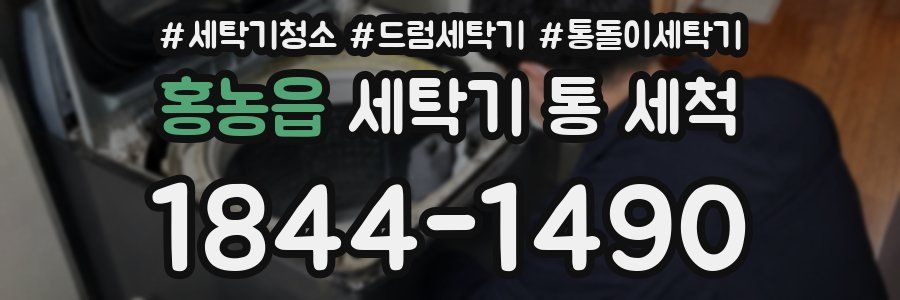 홍농읍 세탁기 통 세척