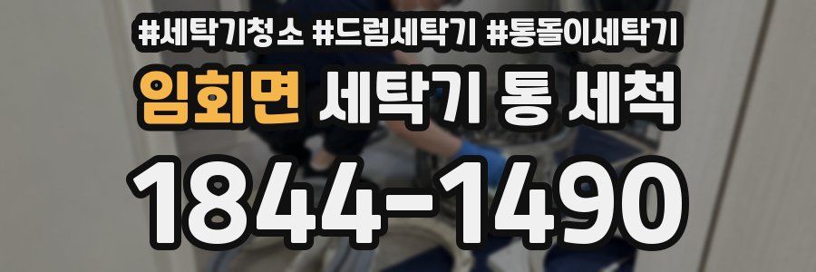 임회면 세탁기 통 세척