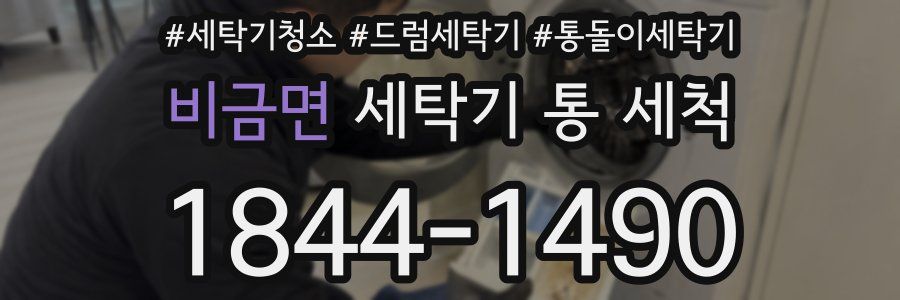 비금면 세탁기 통 세척