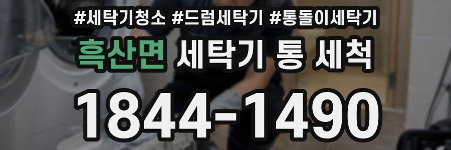 흑산면 세탁기 통 세척