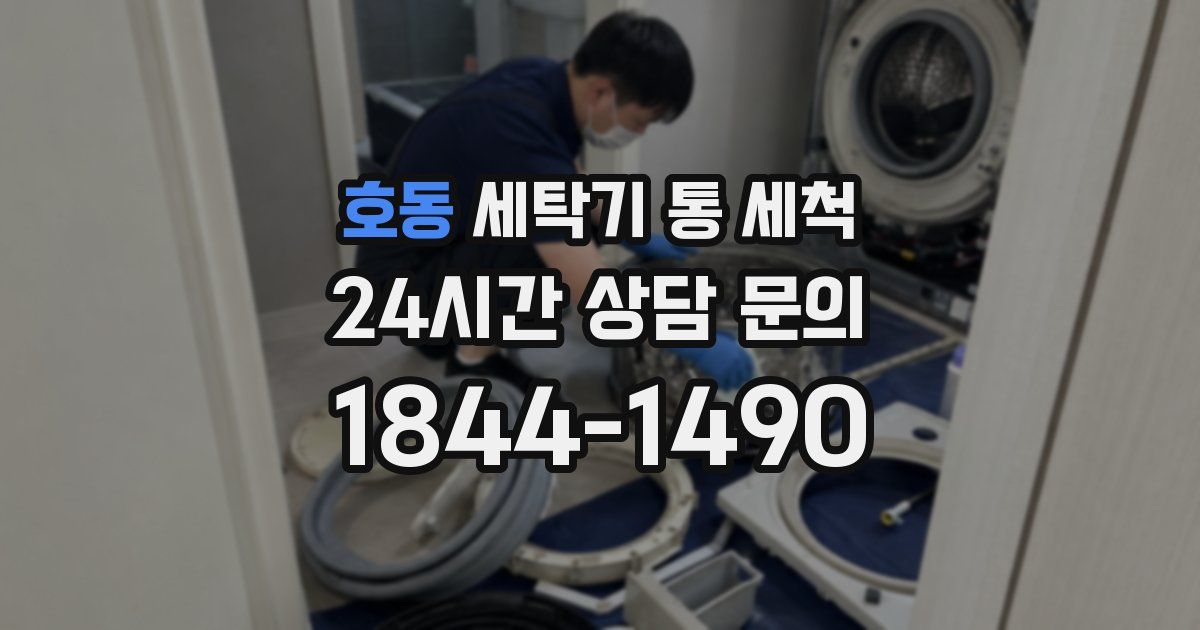 호동 세탁기 통 세척