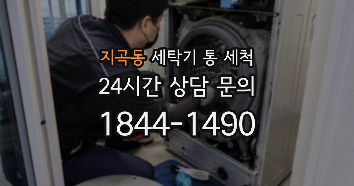 지곡동 세탁기 통 세척