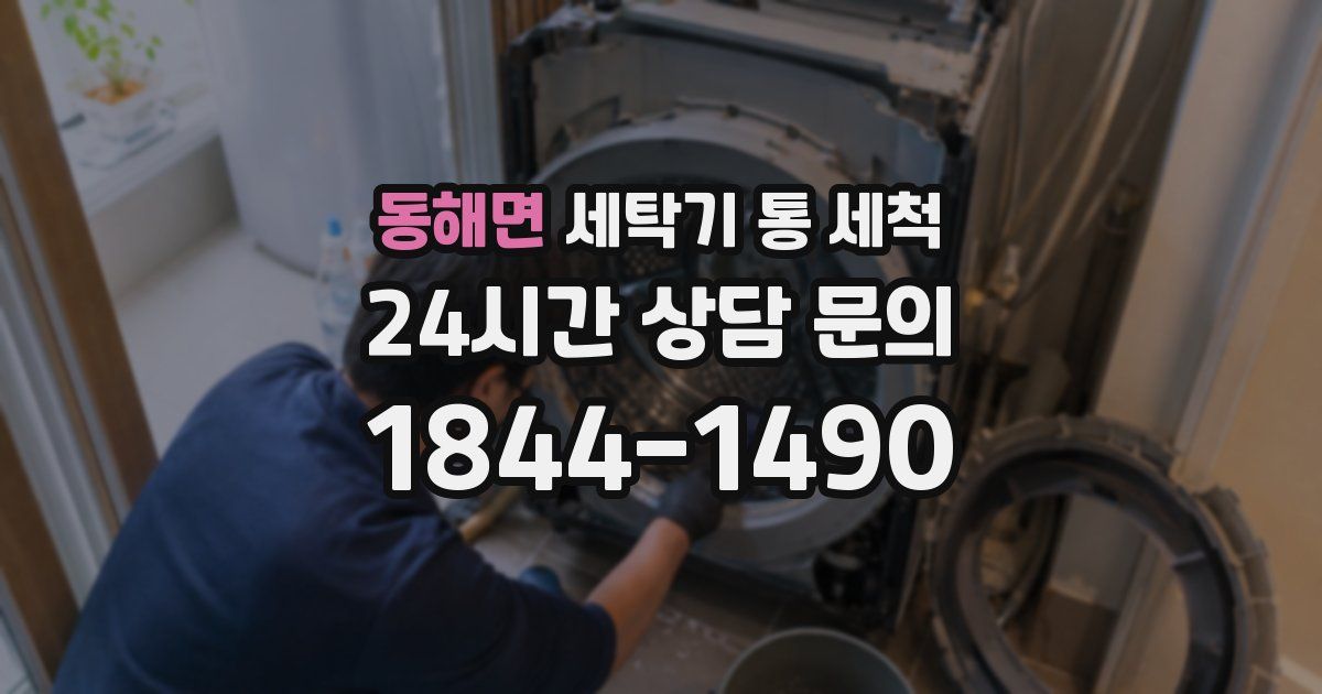 동해면 세탁기 통 세척