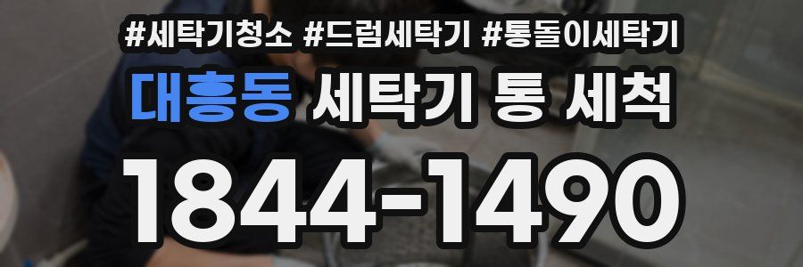 대흥동 세탁기 통 세척
