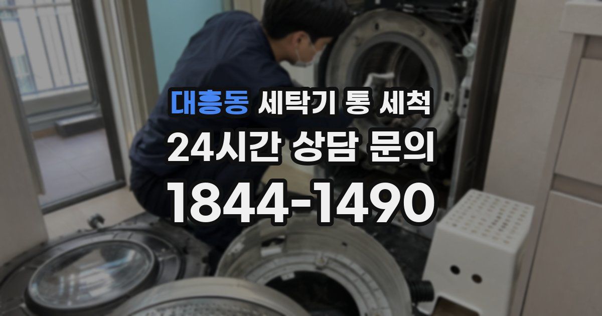 대흥동 세탁기 통 세척