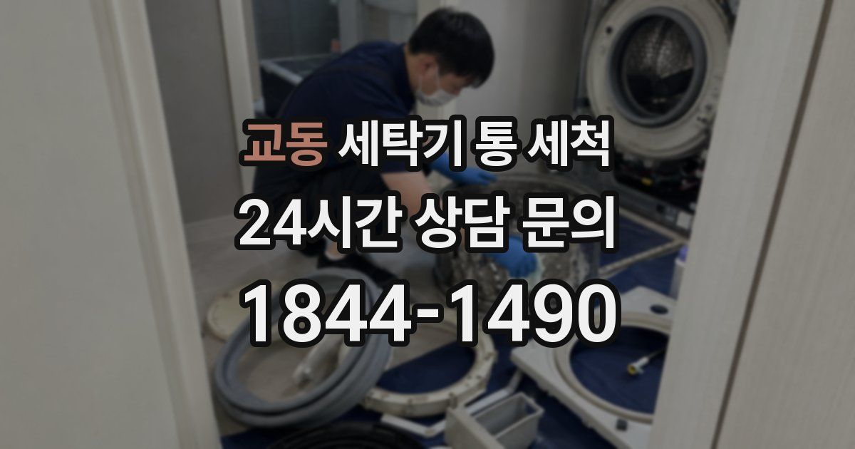 교동 세탁기 통 세척